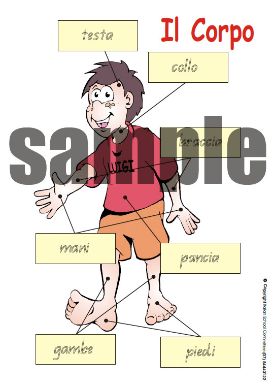 Teach Children the Italian name for parts of the body poster